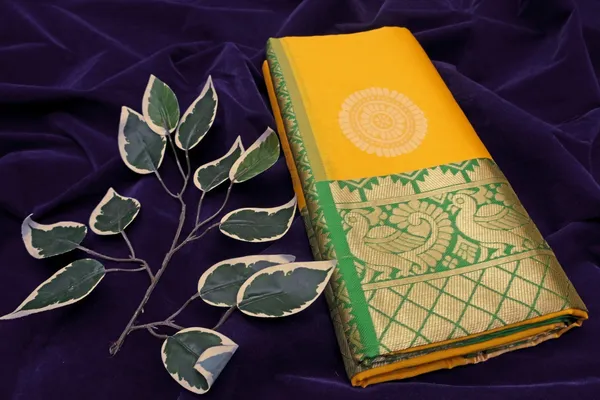Light_Green_Animal_Print_Kanjivaram_Silk_Saree_with_Saree_Cover